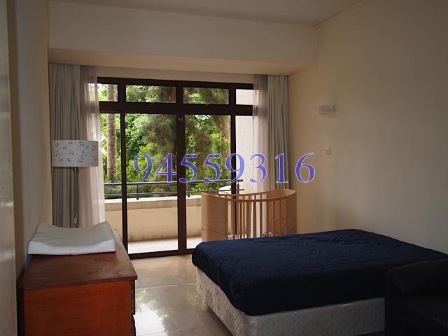 The Balmoral (D10), Condominium #155475842